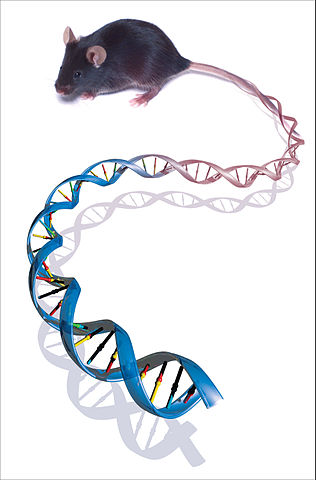 Illustration for article titled What Extraordinarily Weird Things Are Locked Up in Your Junk DNA?